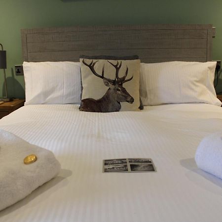 Bed and Breakfast The White Lion Вентнор Екстер'єр фото
